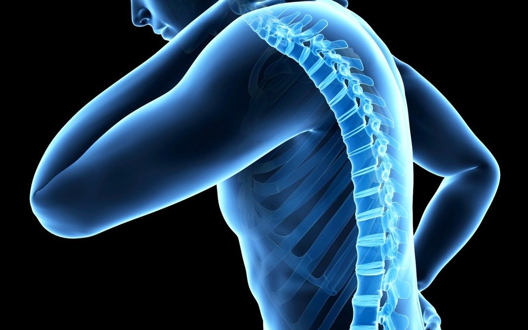 Yoga workshop : Free the tensions of the neck, shoulders & back